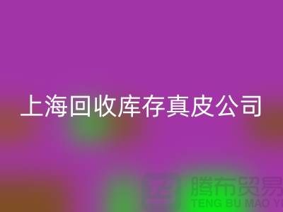 环保与创新:万搏官方网站_万搏(中国)
库存真皮和羊皮的重要性_上海腾布贸易thecultpr.com