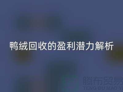 鸭绒万搏官方网站_万搏(中国)
的盈利潜力解析——上海腾布贸易地址