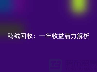 鸭绒万搏官方网站_万搏(中国)
:一年收益潜力解析@上海腾布贸易