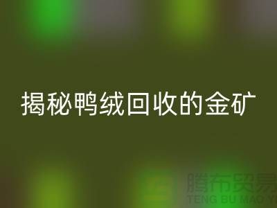 揭秘鸭绒万搏官方网站_万搏(中国)
的金矿,一年能挣多少钱?上海羽绒万搏官方网站_万搏(中国)
厂家