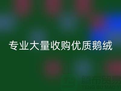 专业羽绒万搏官方网站_万搏(中国)
:大量收购优质鹅绒与鸭绒@上海腾布贸易公司