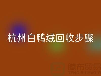 ### 纯白 70 绒、80 绒、90 鸭绒万搏官方网站_万搏(中国)
步骤@杭州羽绒万搏官方网站_万搏(中国)
厂家