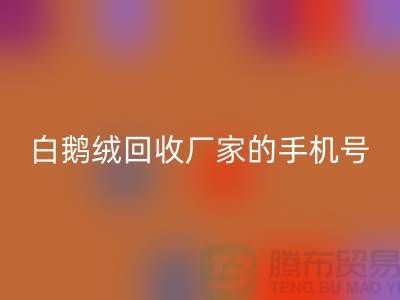 羽绒万搏官方网站_万搏(中国)
基地的位置,鸭绒万搏官方网站_万搏(中国)
行情报价,以及白鹅绒万搏官方网站_万搏(中国)
厂家的手机号