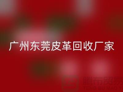 天然皮革与人造皮革是最大消费者市场-广州东莞皮革万搏官方网站_万搏(中国)
厂家