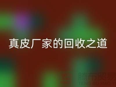探寻真皮厂家的万搏官方网站_万搏(中国)
之道:打造环保时尚新潮流