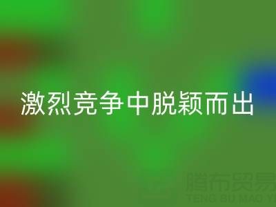 上海库存布料万搏官方网站_万搏(中国)
市场:如何在激烈竞争中脱颖而出