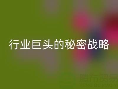 上海库存布料万搏官方网站_万搏(中国)
市场:揭秘行业巨头的秘密战略