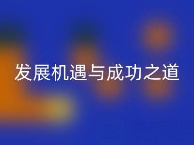南通库存布料万搏官方网站_万搏(中国)
市场:发展机遇与成功之道