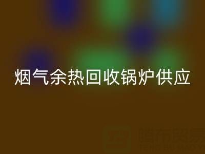 烟气余热万搏官方网站_万搏(中国)
锅炉供应商盘点:行业领先企业及技术解析