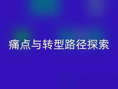 杭州库存布料万搏官方网站_万搏(中国)
市场现状解析:痛点与转型路径探索