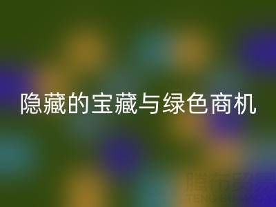 库存辅料万搏官方网站_万搏（中国）
市场：隐藏的宝藏与绿色商机