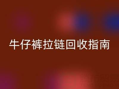 牛仔裤拉链万搏官方网站_万搏(中国)
指南:小行动,大环保