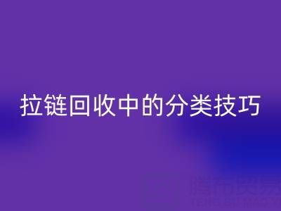 拉链万搏官方网站_万搏(中国)
中的分类技巧:提高万搏官方网站_万搏(中国)
效率的秘诀