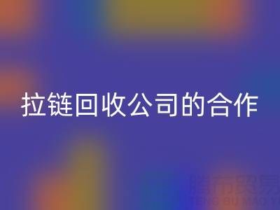 跨境电商时代:拉链万搏官方网站_万搏(中国)
公司的国际合作与交流新路径