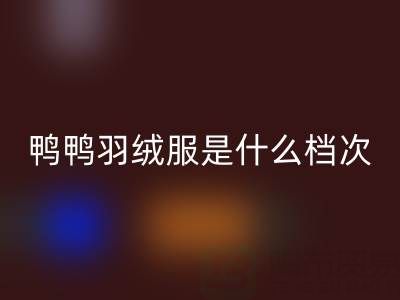 鸭鸭羽绒服是什么档次的牌子?价格贵吗?