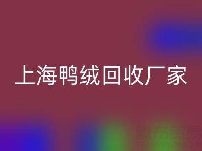 羽绒被内胆布料选购指南:上海鸭绒万搏官方网站_万搏(中国)
厂家的专业建议