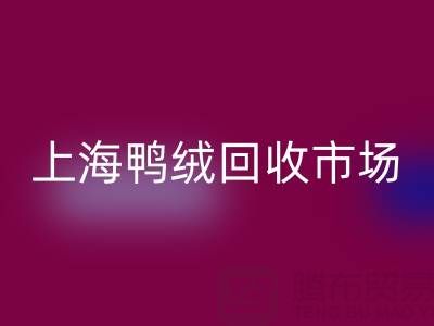 上海鸭绒万搏官方网站_万搏(中国)
市场解析:羽绒被万搏官方网站_万搏(中国)
价格的决定因素与产业价值