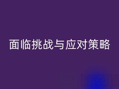 库存染料万搏官方网站_万搏(中国)
公司面临的挑战与应对策略